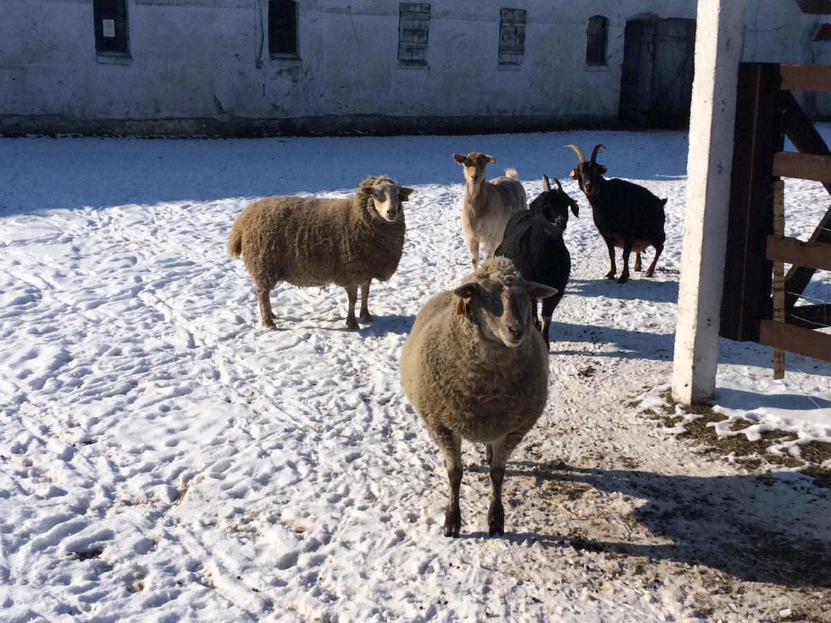 Folwark Luknajno Nad Jeziorem Sniardwy Gospoda Dziedzictwo Kulinarne Warmia-Mazury Mikołajki Exterior foto